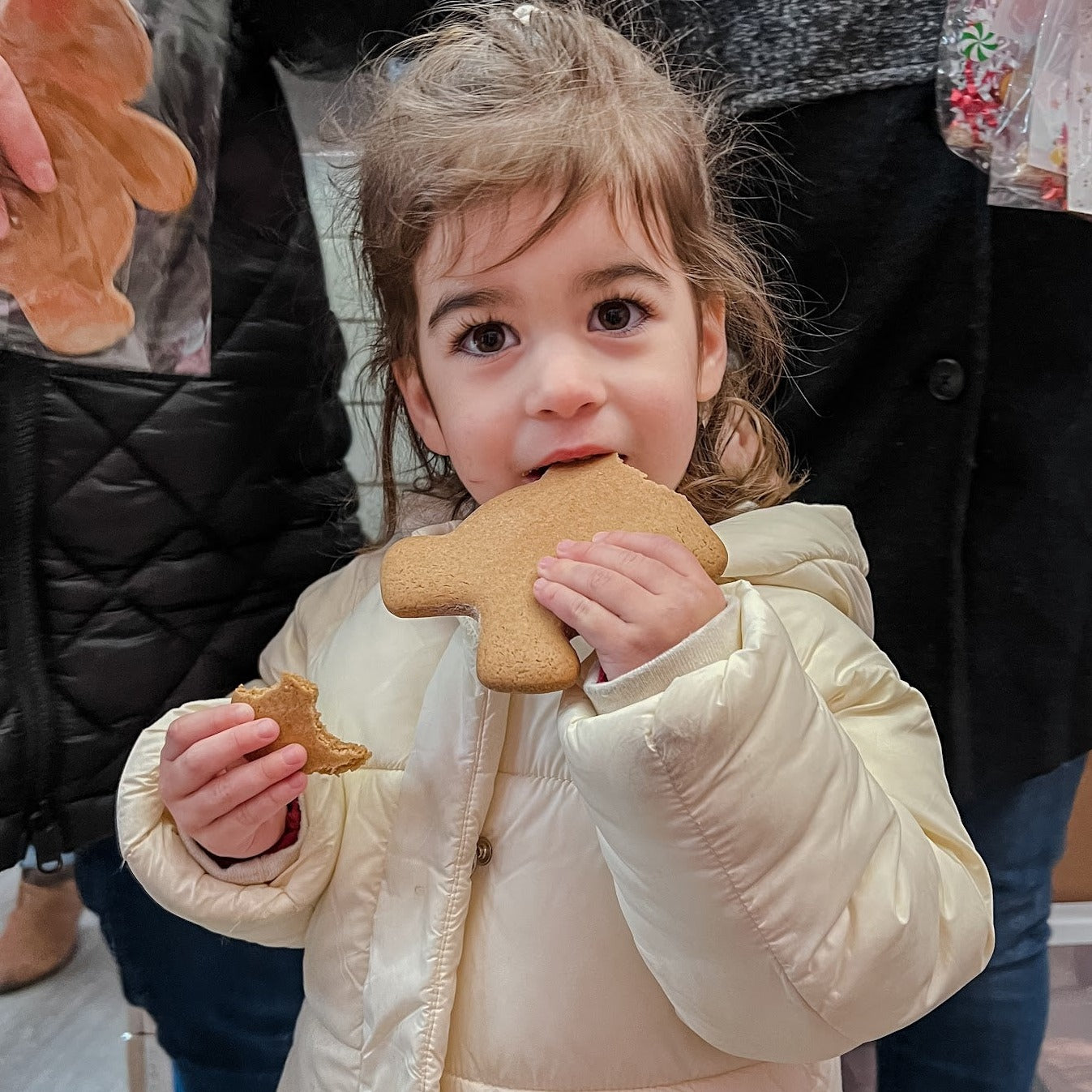 Holiday Trolley: Catch the Gingerbread Man! (12/13)