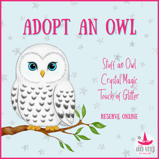 Adopt an Owl | Drop In Activity
