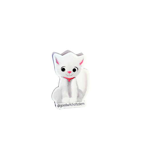Aura Cat Magnet | Good Witch of Salem®