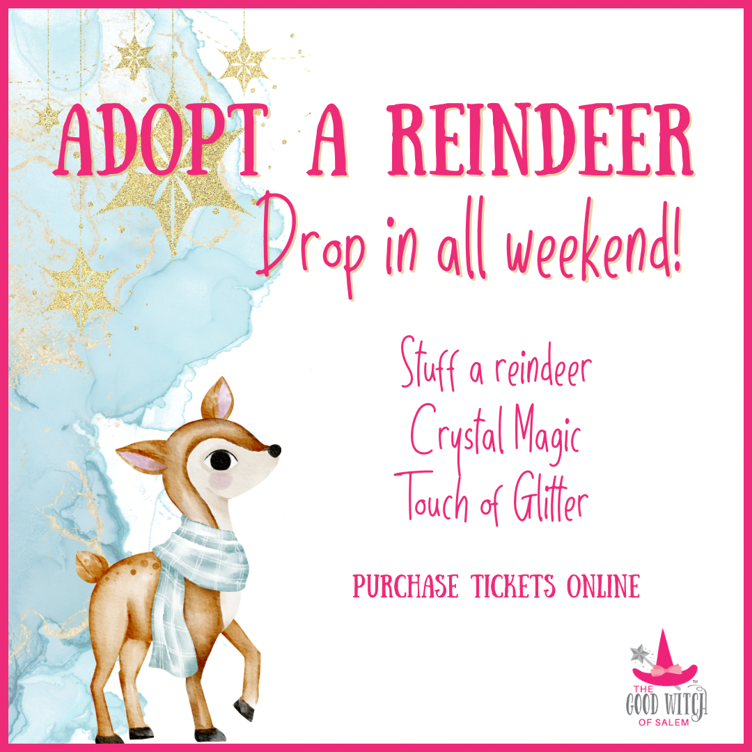Adopt a Reindeer In Store