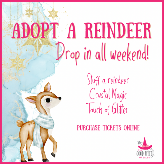 Adopt a Reindeer In Store