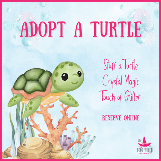 Adopt an Turtle | Drop In Activity