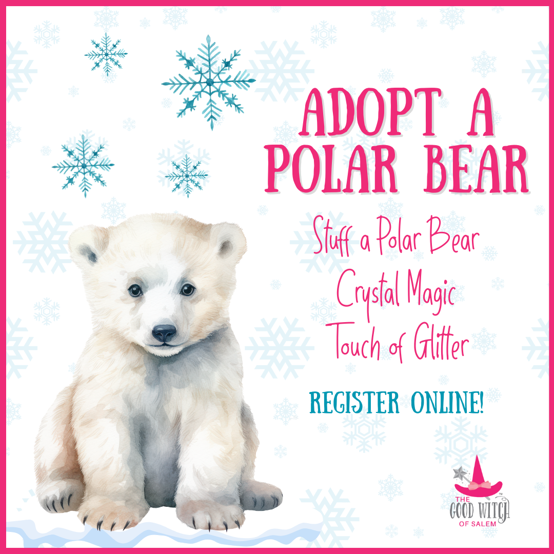 Adopt a Polar Bear 2/15/26