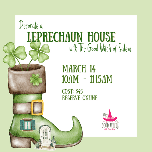 Leprechaun Houses with The Good Witch (3/14/24)