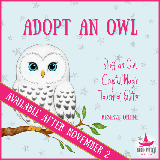 Adopt an Owl | Drop In Activity